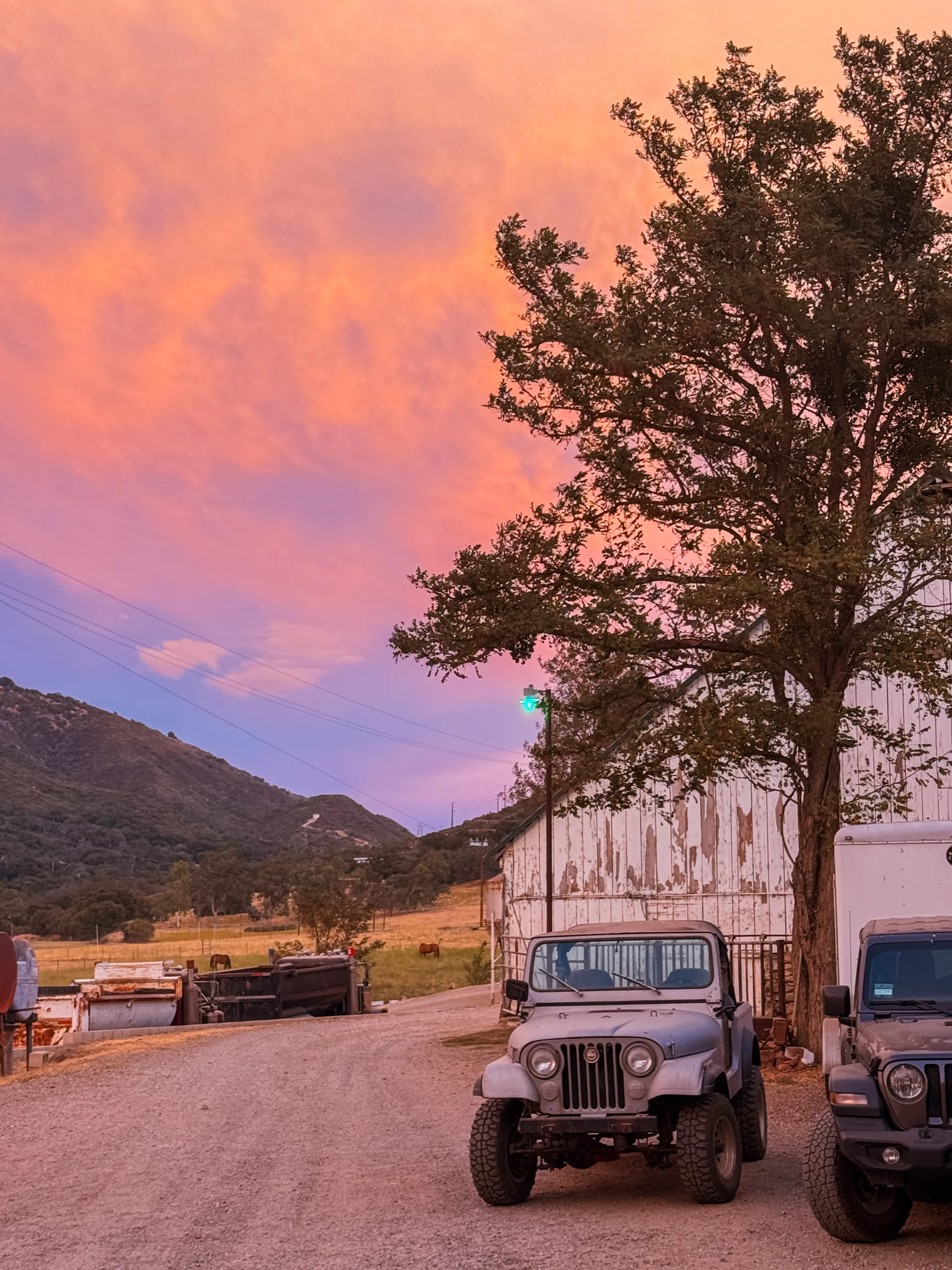 A weathered white barn and a parked open-top Jeep under a large oak, with a pink and orange sunset over a hillside, horses grazing in the pasture beyond, and ranch equipment along the gravel drive.